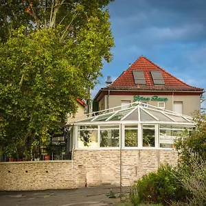Zum Gruenen Baum Frankfurt Airport Guest house Kelsterbach